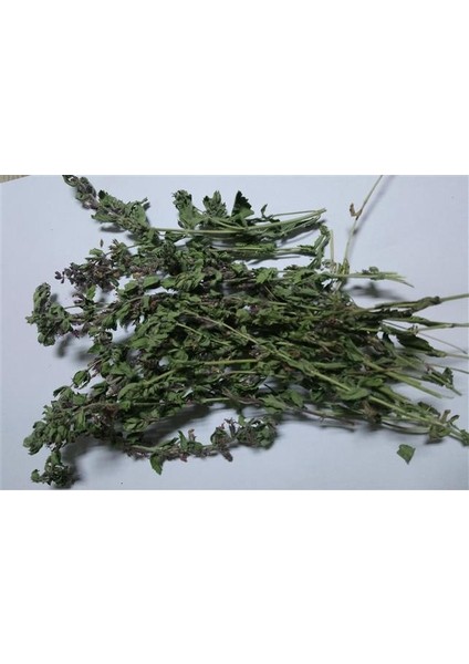 Çıban Otu-Kırmızı Kısa Mahmut 500 gr