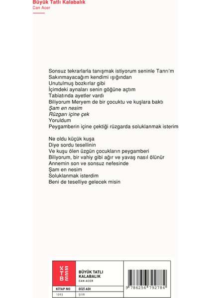 Büyük Tatlı Kalabalık - Can Acer fiyatları