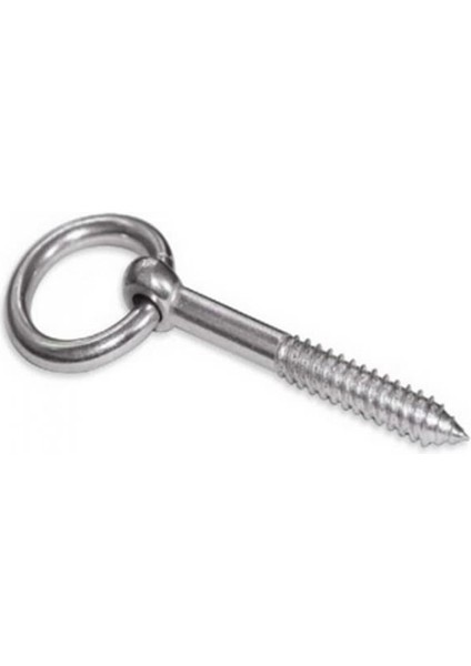 Beşel Halkalı Vida 6 mm fiyatları