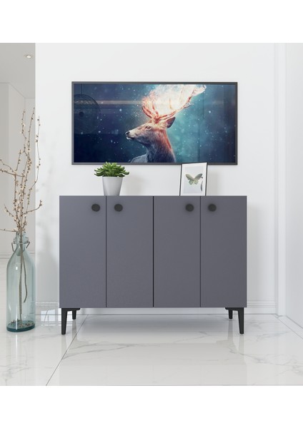 Ayça Çok Amaçlı Konsol Dolap | Antrasit - Antrasit