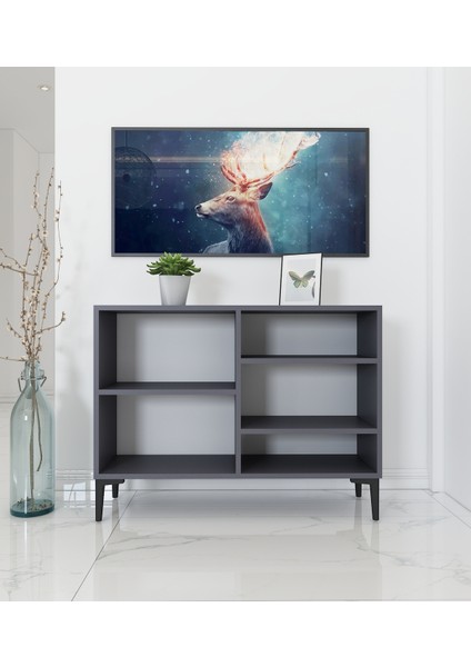 Ayça Çok Amaçlı Konsol Dolap | Antrasit - Antrasit fırsatları