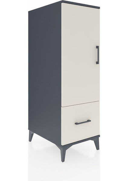 Kronos Dolap 2 Raflı Tek Çekmeceli Tek Kapaklı 44X59X134 Antrasit-Aytaşı fiyatları