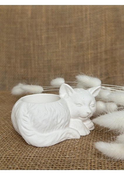 Kedi Minimalist Dekoratif Kaktüs ve Sukulent Saksısı, Beyaz Renkli Hediyelik Kaktüs ve Sukulent Saksısı , Ev Dekoru, Masa Dekoru