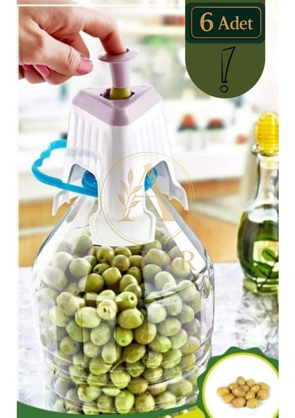 6 Adet Kolay Zeytin Dilme Çizme Aparatı Zeytin Çizme Zeytin Dilme Aleti Küçük Zeytin Çizici Aleti