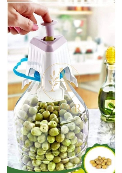 6 Adet Kolay Zeytin Dilme Çizme Aparatı Zeytin Çizme Zeytin Dilme Aleti Küçük Zeytin Çizici Aleti modelleri