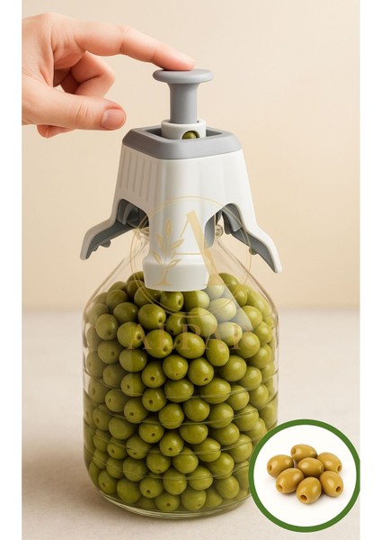 6 Adet Kolay Zeytin Dilme Çizme Aparatı Zeytin Çizme Zeytin Dilme Aleti Küçük Zeytin Çizici Aleti fırsatları