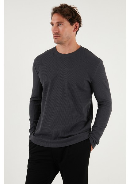 Pamuklu Bisklet Yaka Slim Fit Basic 3'lü Paket Sweat Erkek Sweat 5905073S3 fırsatları