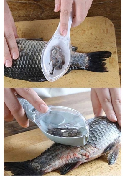 1 Adet Balık Pulu Temizleme Aparatı