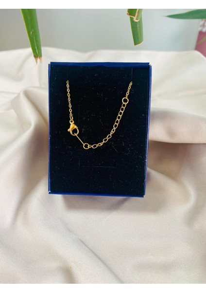 Anka Kuşu Paslanmaz Çelik Kadın Kolye fırsatları