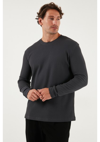 Pamuklu Bisklet Yaka Slim Fit Basic 3'lü Paket Sweat Erkek Sweat 5905073S3 modelleri