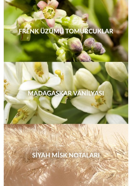 Far Away Glamour Kadın Parfüm Edp 30 Ml. Ikili Set