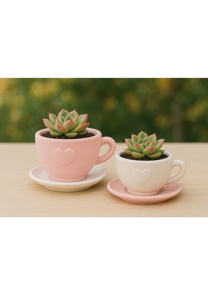 2'li El Yapımı Fincan Tasarımlı Saksı Seti - Handmade Taş Tozu Sukulent Mumluk Dekoratif Biblo 8 cm