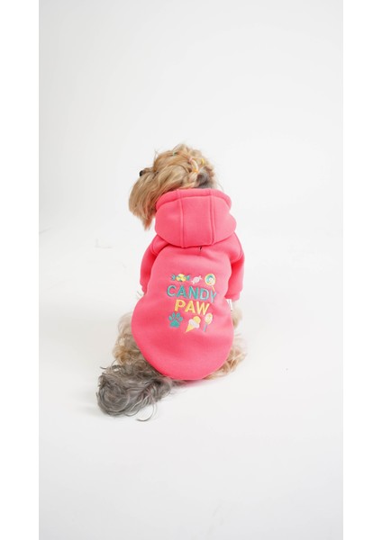 Köpek Kedi Hoodie Candy Paw fırsatları