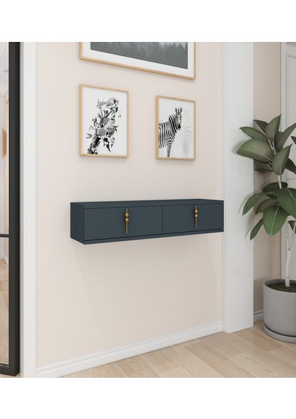 Skys Duvara Monte Dresuar | Antrasit - Antrasit