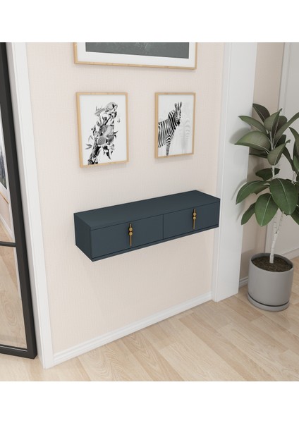 Skys Duvara Monte Dresuar | Antrasit - Antrasit modelleri