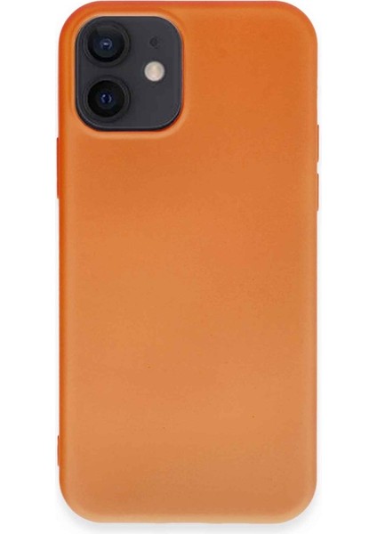 iPhone 12 Pro Içi Kadife Kaplı Esnek Silikon Kapak Ryc/ Nano Lansman