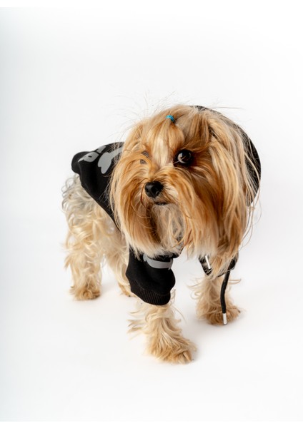 Köpek Kedi Hoodie Danger fiyatları