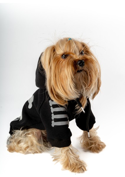 Köpek Kedi Hoodie Danger fırsatları