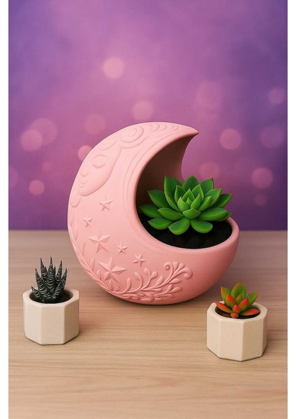 3'lü El Yapımı Saksı Seti Handmade Taş Tozu Dolunay Takı Standı Sukulent Mumluk Dekoratif Biblo 8 cm fiyatları