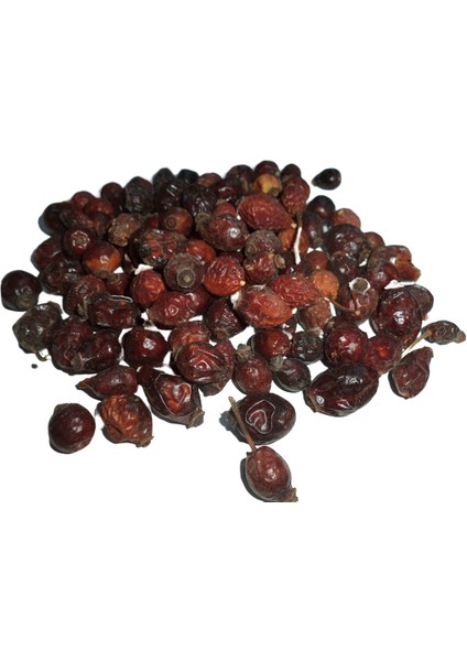 Kuşburnu Tane 2024 Mahsül Eski