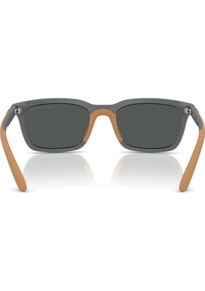 4249U 626187 Erkek Güneş Gözlüğü fırsatları