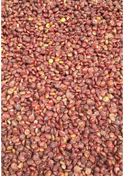 Sumak Tane 100 gr