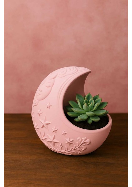 2'li El Yapımı Saksı Seti - Handmade Taş Tozu Dolunay Tasarımlı Sukulent Mumluk Dekoratif Biblo 8 cm fiyatları