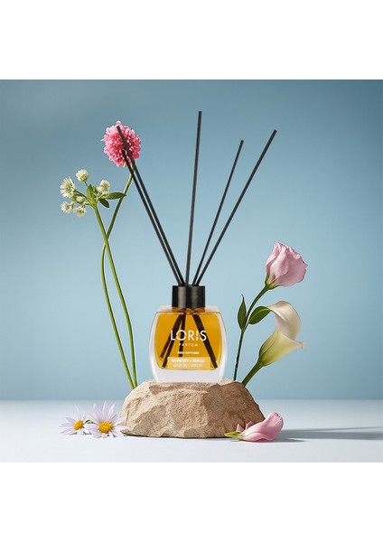 Ahududu Vanilya Oda Kokusu 120 ml