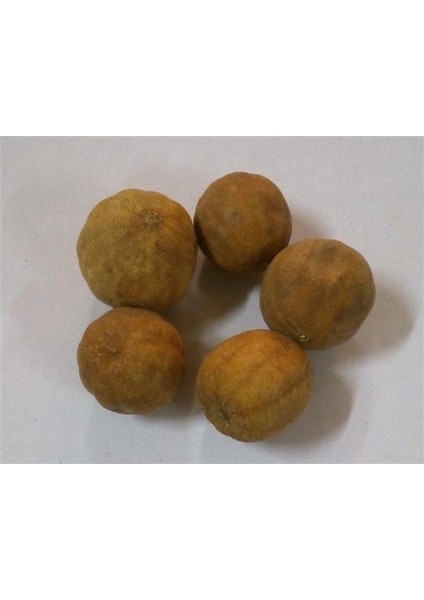 Kuru Basra Limonu Bütün