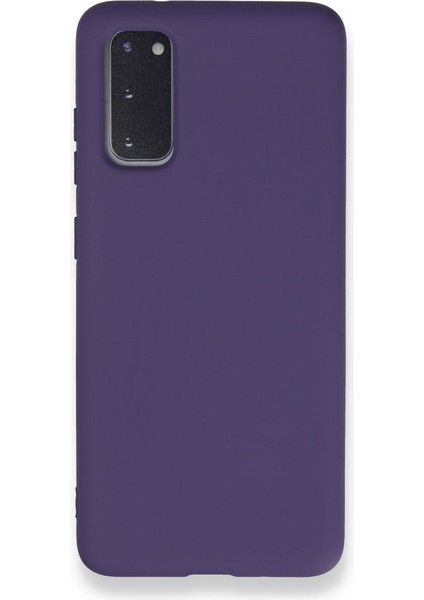 Samsung Galaxy S20 Içi Kadife Kaplı Esnek Silikon Kapak Ryc/ Nano Lansman