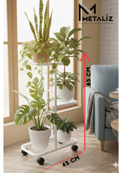 Menekşe Beyaz Çiçeklik