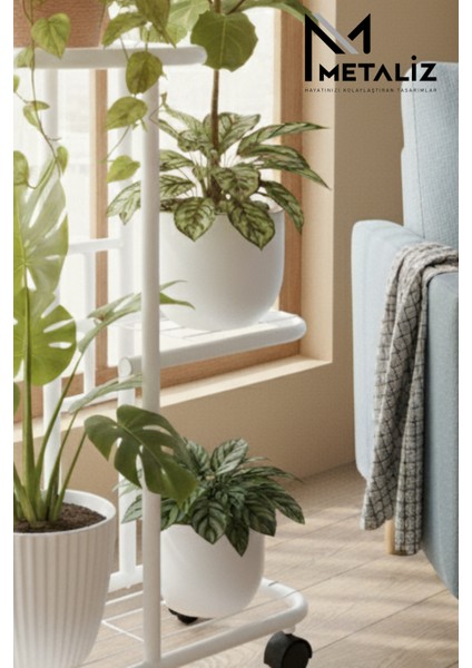 Menekşe Beyaz Çiçeklik modelleri