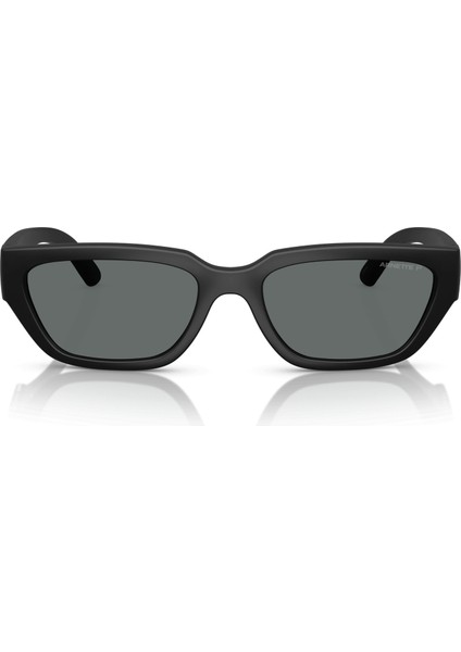 4350 290081 Erkek Güneş Gözlüğü