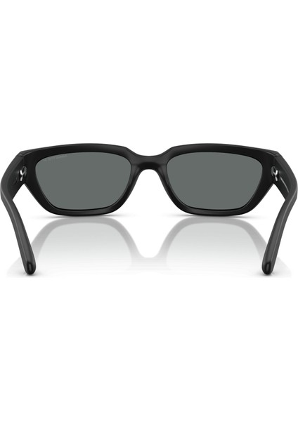 4350 290081 Erkek Güneş Gözlüğü fırsatları