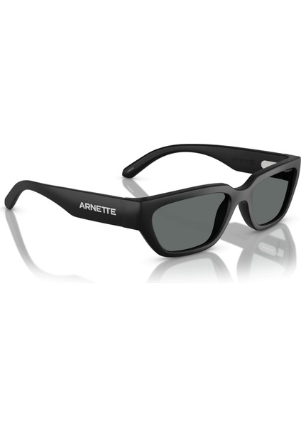 4350 290081 Erkek Güneş Gözlüğü indirimleri