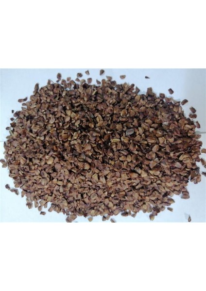 Selvi Kozalak Tohumu