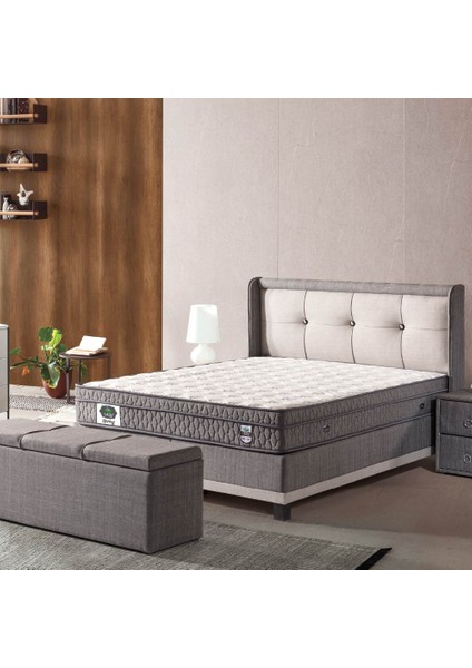 Spring Baza+Başlık Set