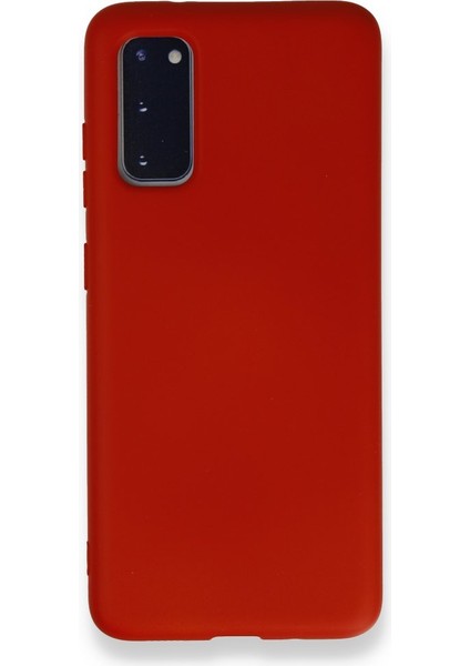 Samsung Galaxy S20 Içi Kadife Kaplı Esnek Silikon Kapak Ryc/ Nano Lansman