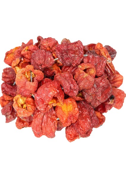 Antep Kuru Biber Dolma 20 Li (Iadesiz)