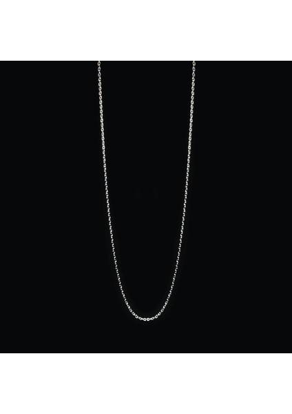 100 Mikron Force Gümüş Zincir fiyatları