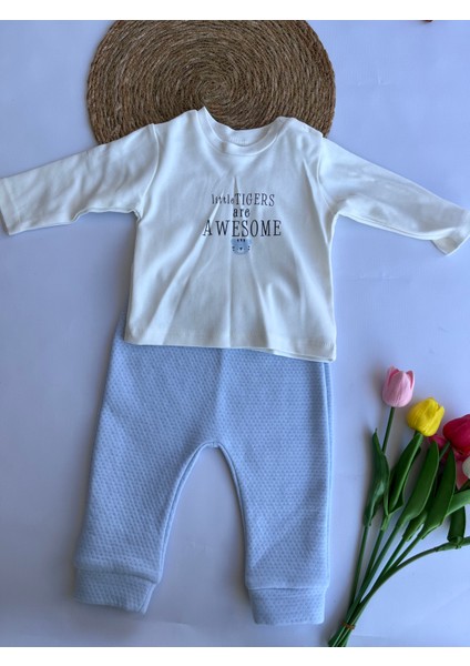 Erkek Bebek 3'lü Takım fiyatları