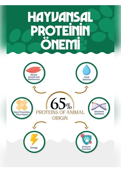 Premıum Somonlu Kuru Kedi Maması 12 kg Salmon Adult Cat modelleri