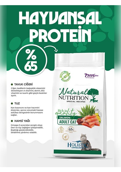 Premıum Somonlu Kuru Kedi Maması 12 kg Salmon Adult Cat indirimleri