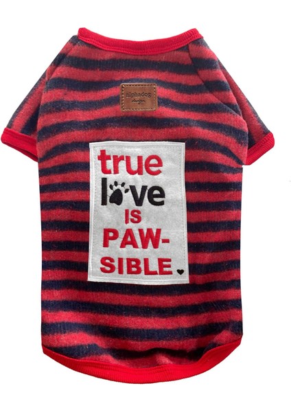 Red True Love Küçük Irk Köpek Kazağı