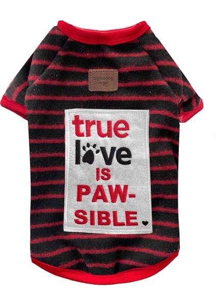 Black True Love Küçük Irk Köpek Kazağı