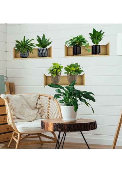 Raflı Bitki Tasarımlı Yapışkanlı Sticker 20*30 cm 3lü Set (4887) fiyatları