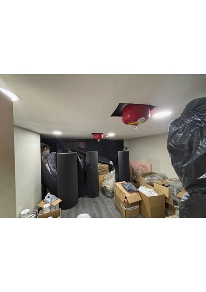 6 kg Sprinkerli Tavan Tipi Gazlı Otomatik Söndürme Tüpü fiyatları