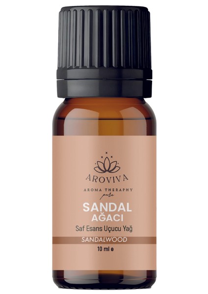 Ofis Mağaza Esansiyel Uçucu Koku Yağı Buhurdanlık Yağı Difüzör Esansı 6'lı Set 6X10ML modelleri