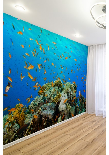 Mercan Resifi ve Tropikal Balıklar Tek Parça Duvar Kağıdı