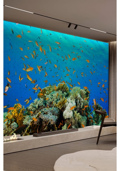 Mercan Resifi ve Tropikal Balıklar Tek Parça Duvar Kağıdı fiyatları
